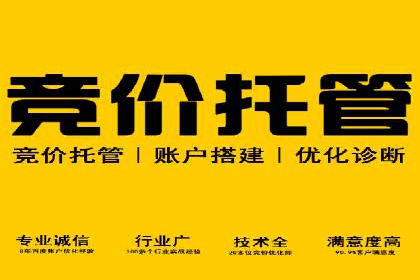 揭秘推广竞价：实战案例深度剖析